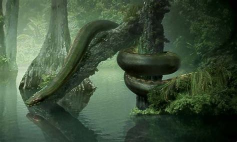 Titanoboa: The Monster Snake that Ruled Prehistoric Colombia | Prehistoric creatures ...