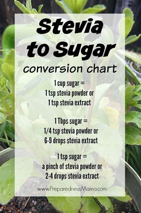 #FoodPhotographyTips #GardeningTipsScotland | Stevia recipes, Sugar ...