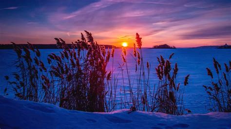 2560x1440 Resolution winter, sunset, snow 1440P Resolution Wallpaper - Wallpapers Den