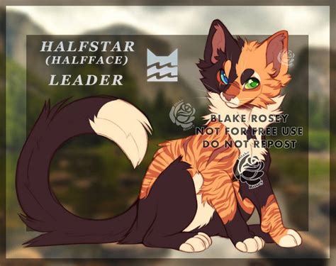 || Halfstar | WARRIOR CAT OC by Blake-Rosey on DeviantArt