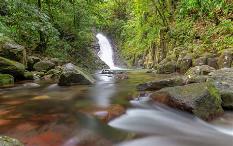 Photos Guadeloupe Cascade Paradis Nature Waterfalls forest Tropics