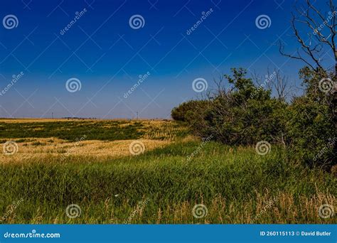 The Ghost Town of Kirkcaldy Vulcan County Alberta Canada Stock Image - Image of families, fort ...