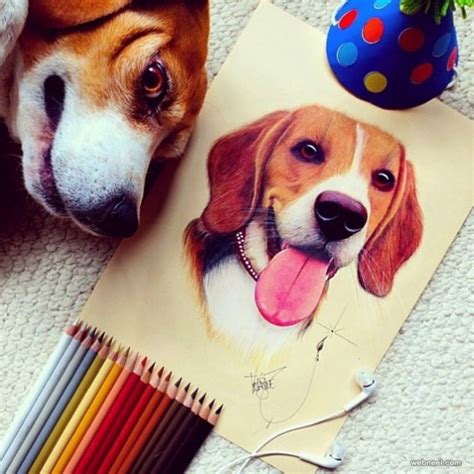 Dog Color Pencil Drawing By Santiago Velasquez