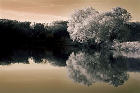 the miir image: Digital Infrared Photography Tutorial