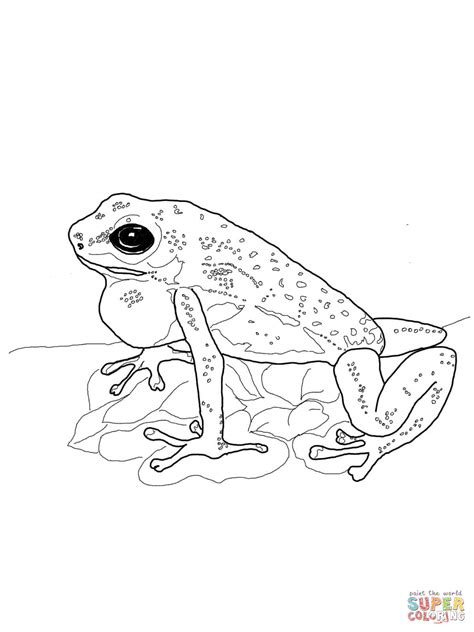 bullfrog - Clip Art Library