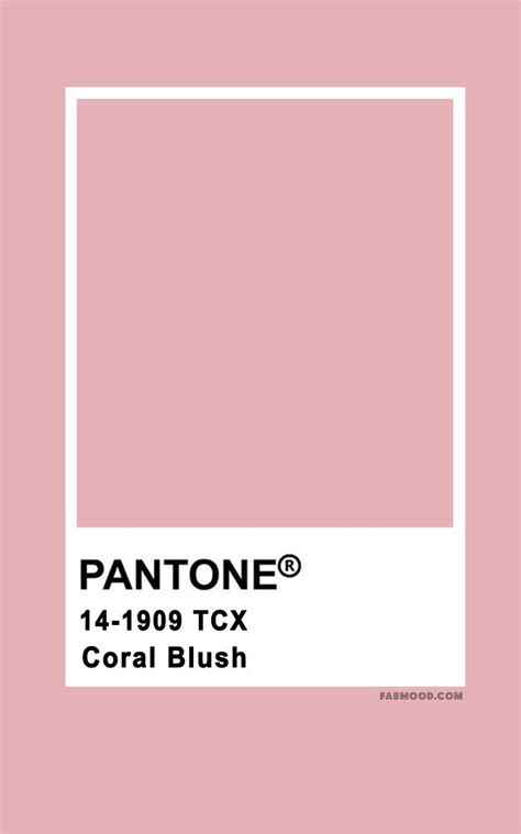 pantone's coral pink color is shown in this graphic style, with the text pan