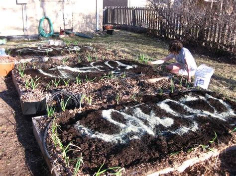 How To Prepare Soil For a Vegetable Garden? – The Housing Forum