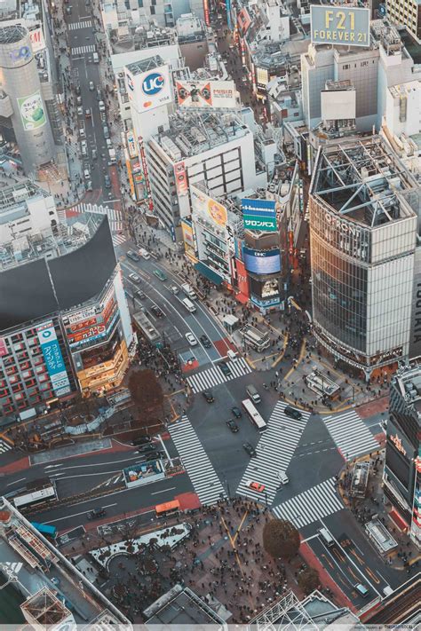 Shibuya Scramble Square: A Guide To Tokyo's Newest & Most Instagenic ...