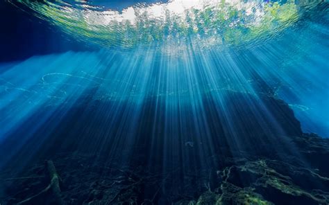 Nature, underwater, sunlight, sun rays HD wallpaper | Wallpaper Flare