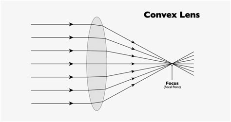 The Photons Of Light Then Travels In All Directions - Simple Convex Lens Ray Diagram Transparent ...