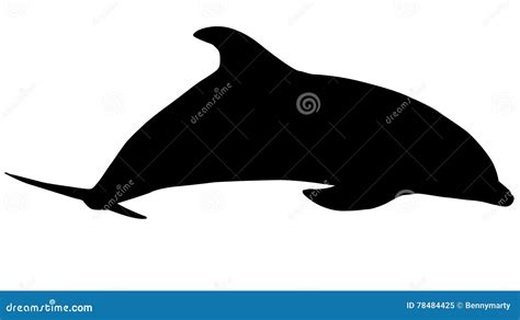 Silhouette of Dolphin stock illustration. Illustration of shadow - 78484425