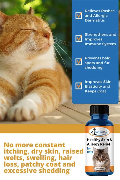 Cat Skin Allergy Relief | Cat skin, Dermatitis, Cat medicine