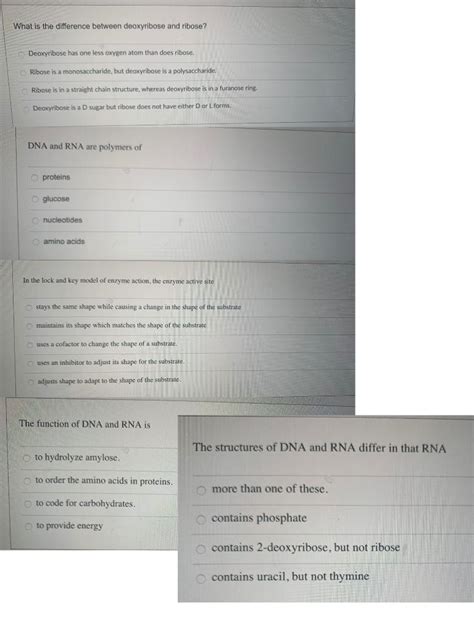 Solved What is the difference between deoxyribose and | Chegg.com