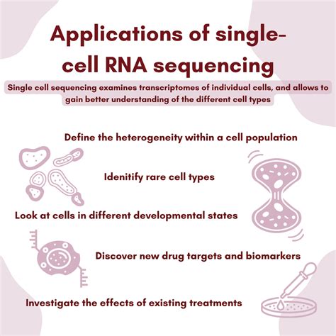 Top 5 Most Revolutionary Uses of Single-Cell RNA Sequencing