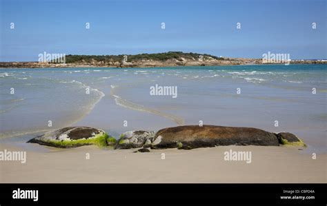 Currents converge at Madfish Bay in William Bay National Park, near the town of Denmark, Western ...