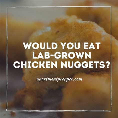 Would You Eat Lab Grown Chicken Nuggets – Apartment Prepper