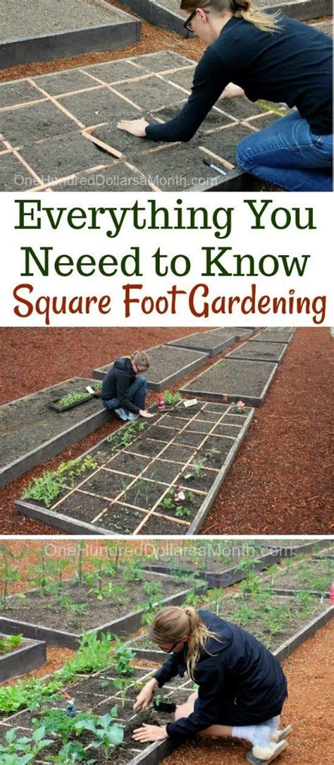 Everything You Need to Know About Square Foot Gardening - One Hundred Dollars a Month | Square ...