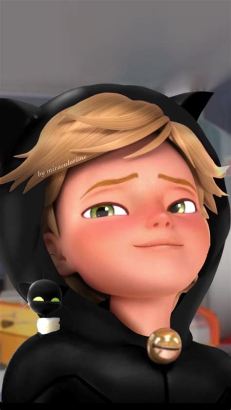 Miraculous Cat Noir, Anime Miraculous Ladybug, Adrien Miraculous ...