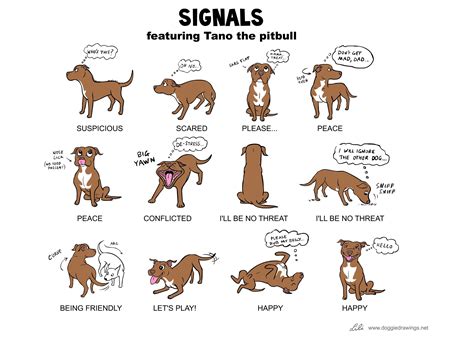 Doggie Communication Postures | Dog body language, Dog language, Dog facts