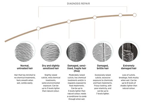 Sure Dry Basement Repairs In Germany - Openbasement