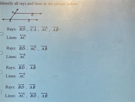 Solved: Identify all rays and lines in the picture below. Rays: vector ...