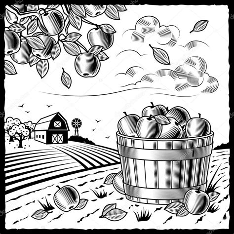 Landscape with apple harvest black and white Stock Vector by ©iatsun ...