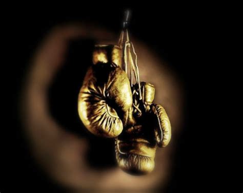 Golden Gloves Boxing 2024