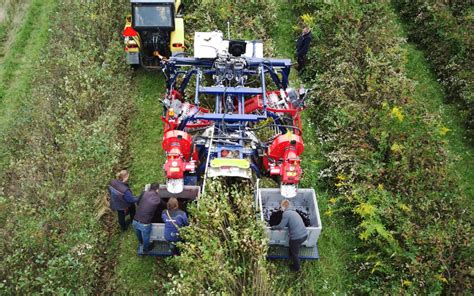 Berry Harvesters For All Types Of Berries | JAGODA JPS