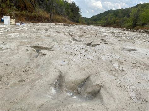 113-Million-Year-Old Dinosaur Tracks Uncovered at Texas Park