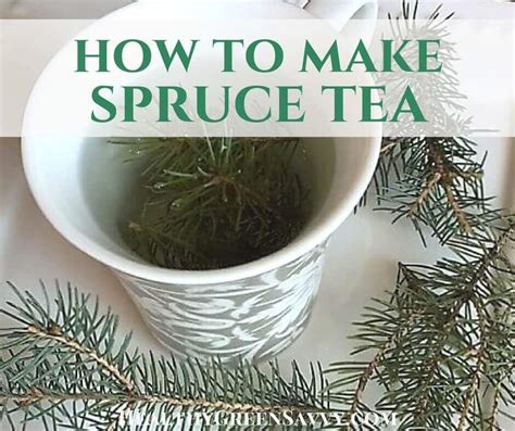 How to Make Spruce Tea, A Delicious Way to Fight Colds