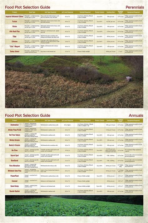 Whitetail Institute No-Plow Deer Food Plot Seed - Hardy, Fast-Growing ...