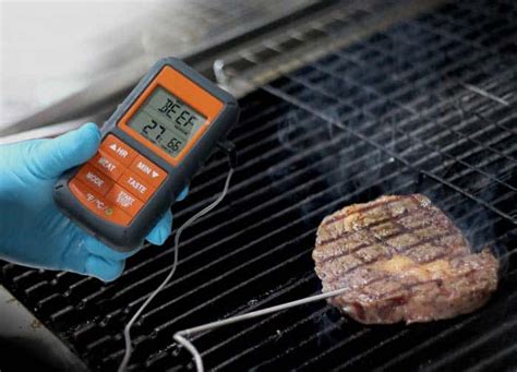 5 Best Smoker Thermometers of 2024 [Reviewed & Rated] - TheOnlineGrill.com