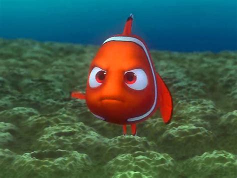 24 preguntas que Disney dejó sin responder | Finding nemo, Disney ...