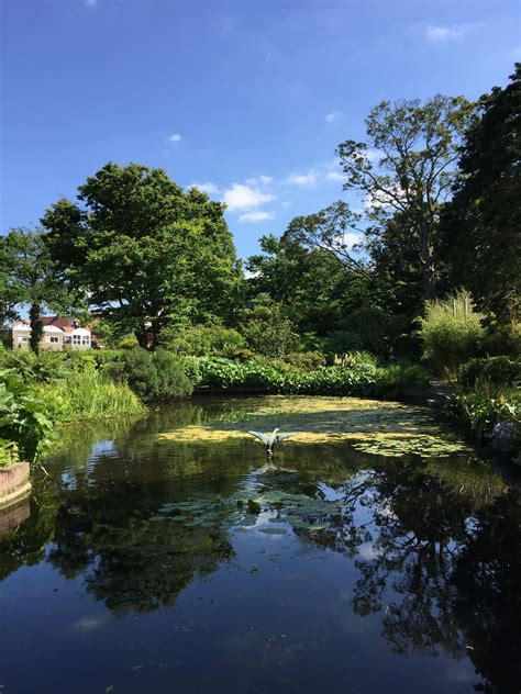 12 Things You Should Know Before You Visit Leiden Botanical Garden ...