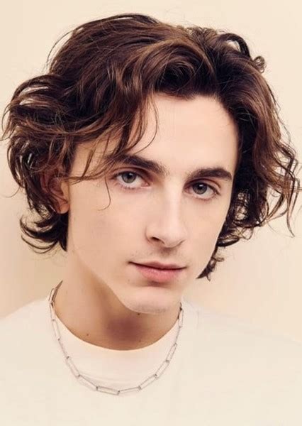 Fan Casting Timothée Chalamet as Dylan in The Quarry on myCast