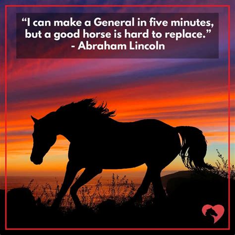 15 Greatest Quotes About Horses Of All Time