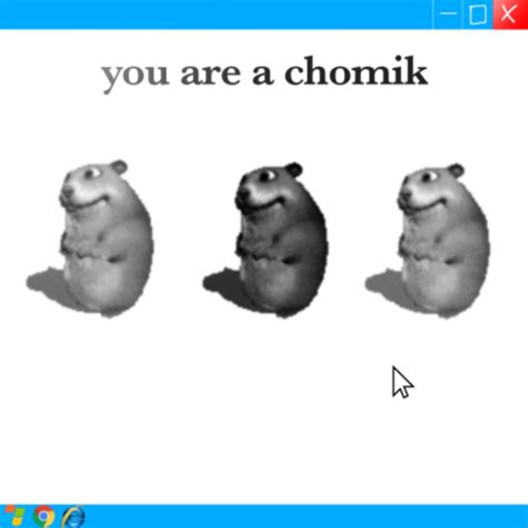 You Are a Chomik | Find the Chomiks Wiki | Fandom