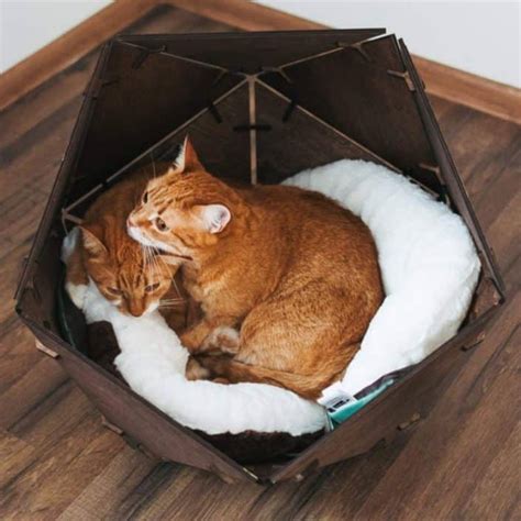 Handcrafted Cat Bed for Large Cat - Suckstobebroke