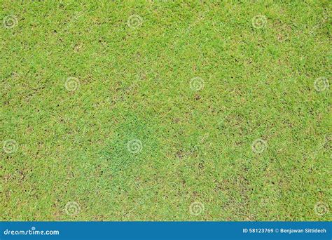 Green Grass on Ground Texture Background Stock Image - Image of pattern ...