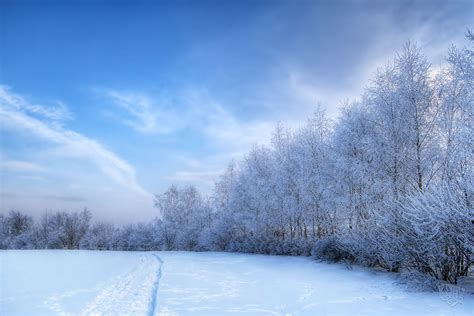 🔥 [50+] Snowy Fields Wallpapers | WallpaperSafari