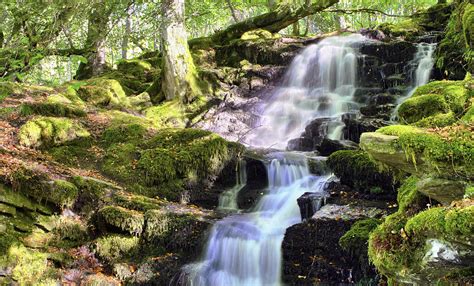 Birks Of Aberfeldy Cascading Waterfall - Scotland Photograph by Jason ...