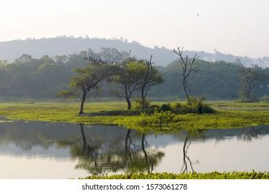 16 Pashan Lake Stock Photos, Images & Photography | Shutterstock