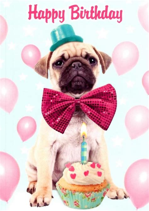 Pug Dog Happy Birthday Greeting Card | Cards | Love Kates