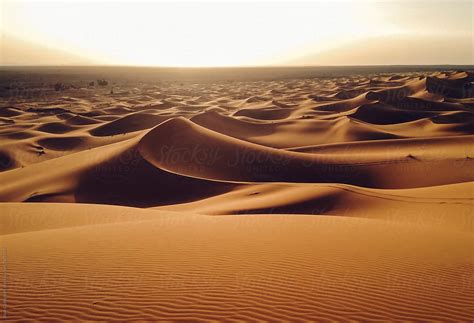 "Desert Dunes Landscape In The Sunset" by Stocksy Contributor "Blue ...