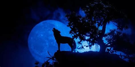 What Is A Wolf Moon? - The Fact Site