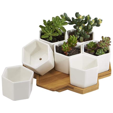 White Indoor Plant Pots - markanthonystudios.net