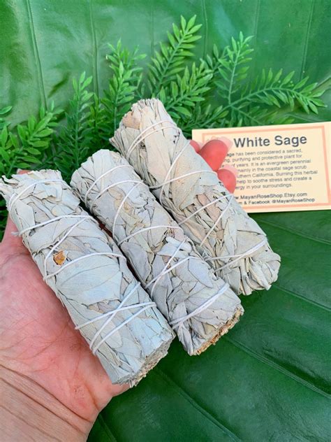 WHITE SAGE SMUDGE Stick Sage Bundle for Ceremony Meditation - Etsy