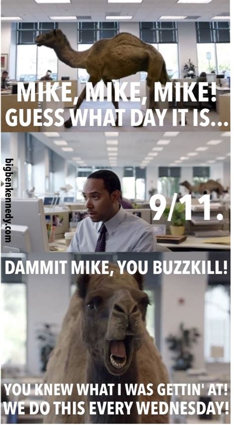 Geico Camel on Wednesday 9/11/2013 : funny