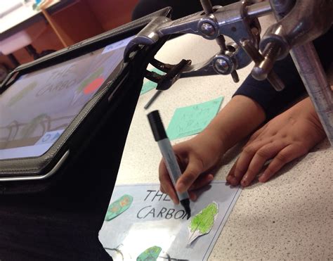 Carbon Cycle Animation – Tynecastle High School