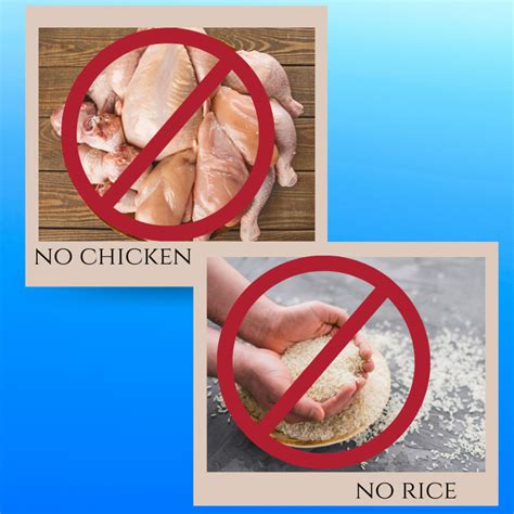 Stop Feeding Your Dog Chicken and Rice! – The Healthy Dog Workshop